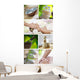 spa list Wall Mural