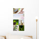 Spa Mix Wall Mural