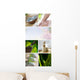 Spa Mix Wall Mural