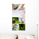 Spa Mix Wall Mural
