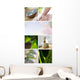 Spa Mix Wall Mural