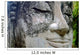 Buddha Head Thailand