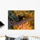 Bristle Worm Wall Decal