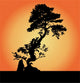 bonsai Wall Mural