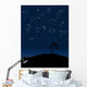 constellations 1 Wall Mural
