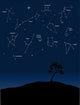 constellations 1 Wall Mural