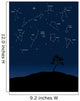 constellations 1 Wall Mural