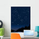 constellations 1 Wall Mural