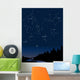 constellations 1 Wall Mural