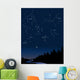 constellations 1 Wall Mural