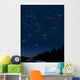 constellations 1 Wall Mural
