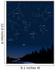 constellations 1 Wall Mural