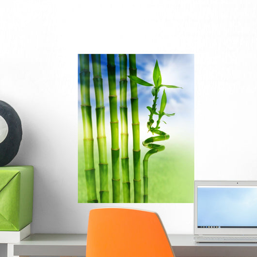 Spring Bamboo