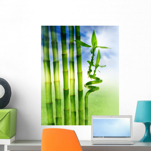 Spring Bamboo