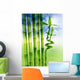 Spring Bamboo