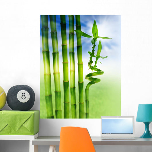 Spring Bamboo
