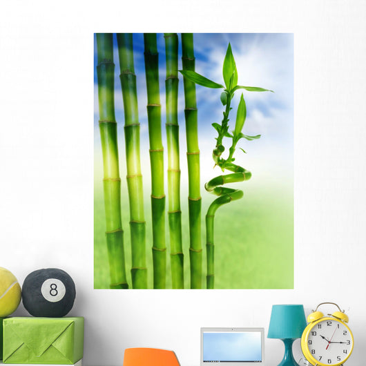 Spring Bamboo