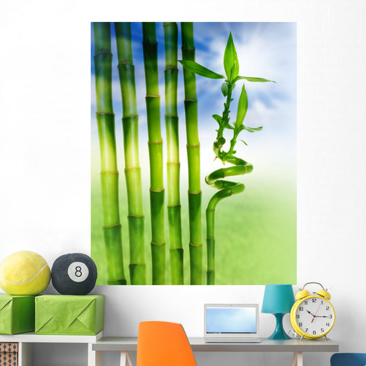 Spring Bamboo