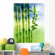 Spring Bamboo