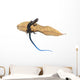 Skink Lizard Dry Leaf