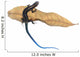 Skink Lizard Dry Leaf