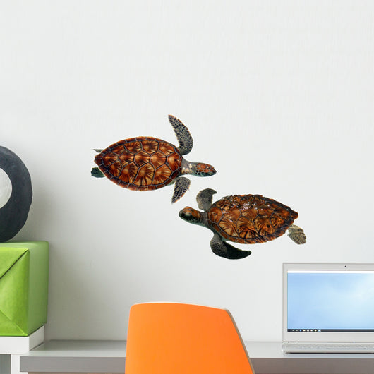 Sea Turtles Wall Stickers Wall Decal