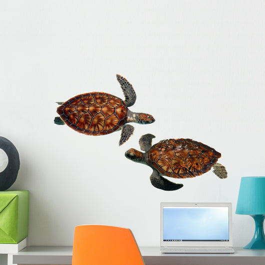 Sea Turtles Wall Stickers Wall Decal