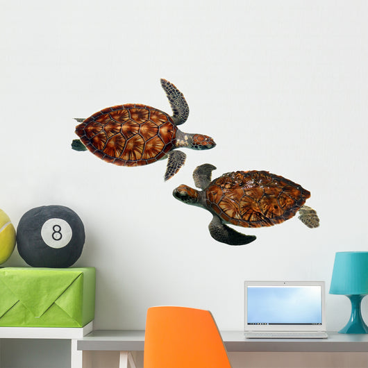 Sea Turtles Wall Stickers Wall Decal