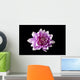 Dahlia Wall Mural