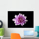 Dahlia Wall Mural
