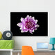 Dahlia Wall Mural