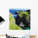 Carrick-a-rede Rope Bridge, County Antrim, Northern Ireland Wall Mural