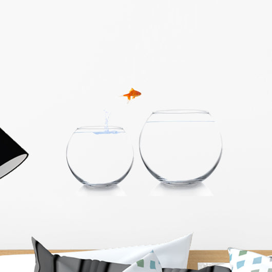 Goldfish Moving to Better Wall Decal