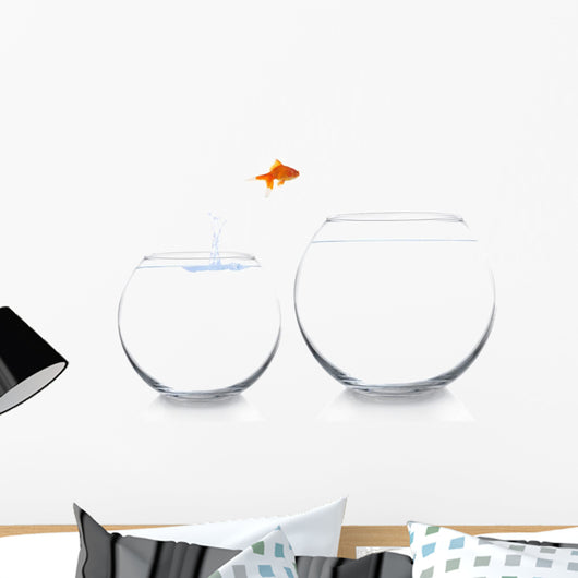 Goldfish Moving to Better Wall Decal