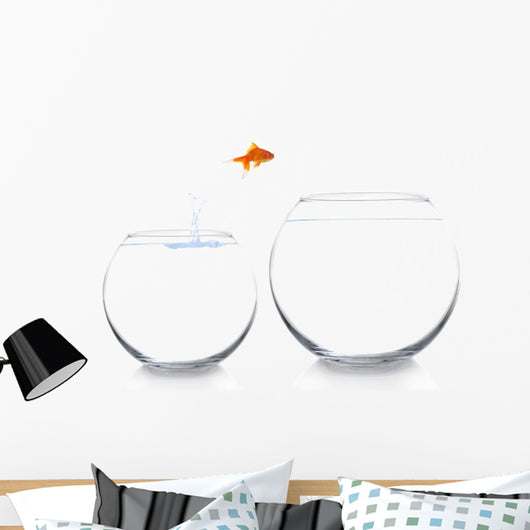 Goldfish Moving to Better Wall Decal