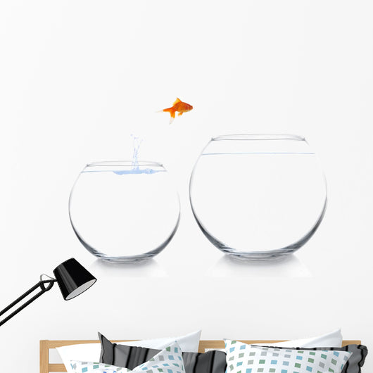Goldfish Moving to Better Wall Decal