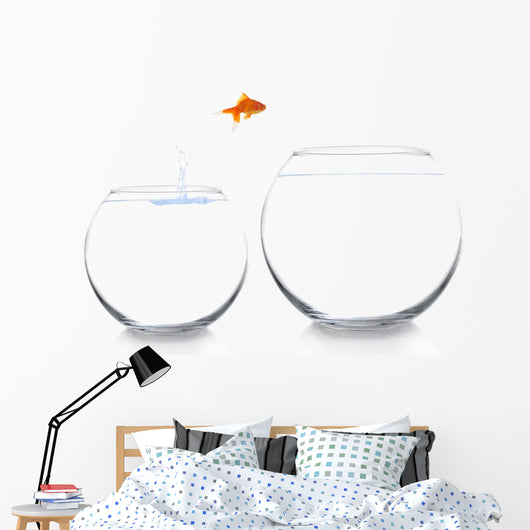 Goldfish Moving to Better Wall Decal