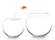 Goldfish Moving to Better Wall Decal
