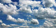 Sky Wall Decal Design 2