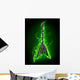 Electric Guitar Green Fire