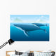 Humpback Whale and Young