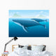 Humpback Whale and Young