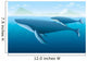 Humpback Whale and Young