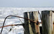 Winter im Watt Wall Decal