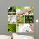 Spa Collage Wall Decal