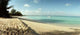 Seven Mile Beach Grand Wall Decal