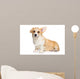 Corgi Puppy White Wall Decal