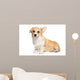Corgi puppy on white background Wall Decal