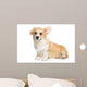 Corgi puppy on white background Wall Decal