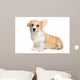 Corgi puppy on white background Wall Decal